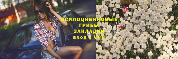 прущая мука Армянск